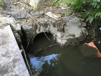 Прикрепленное изображение: IMG_9240.jpeg